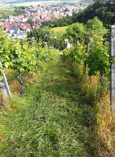 Adelhelm Landtechnik Maschinenbau Adelhelm Landtechnik Maschinenbau